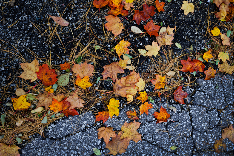 Fall pavement
